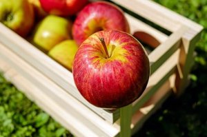 7 Outstanding Health Benefits of Apples