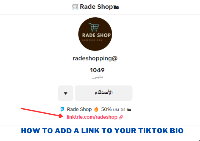 How to Add a Link to Your TikTok Bio